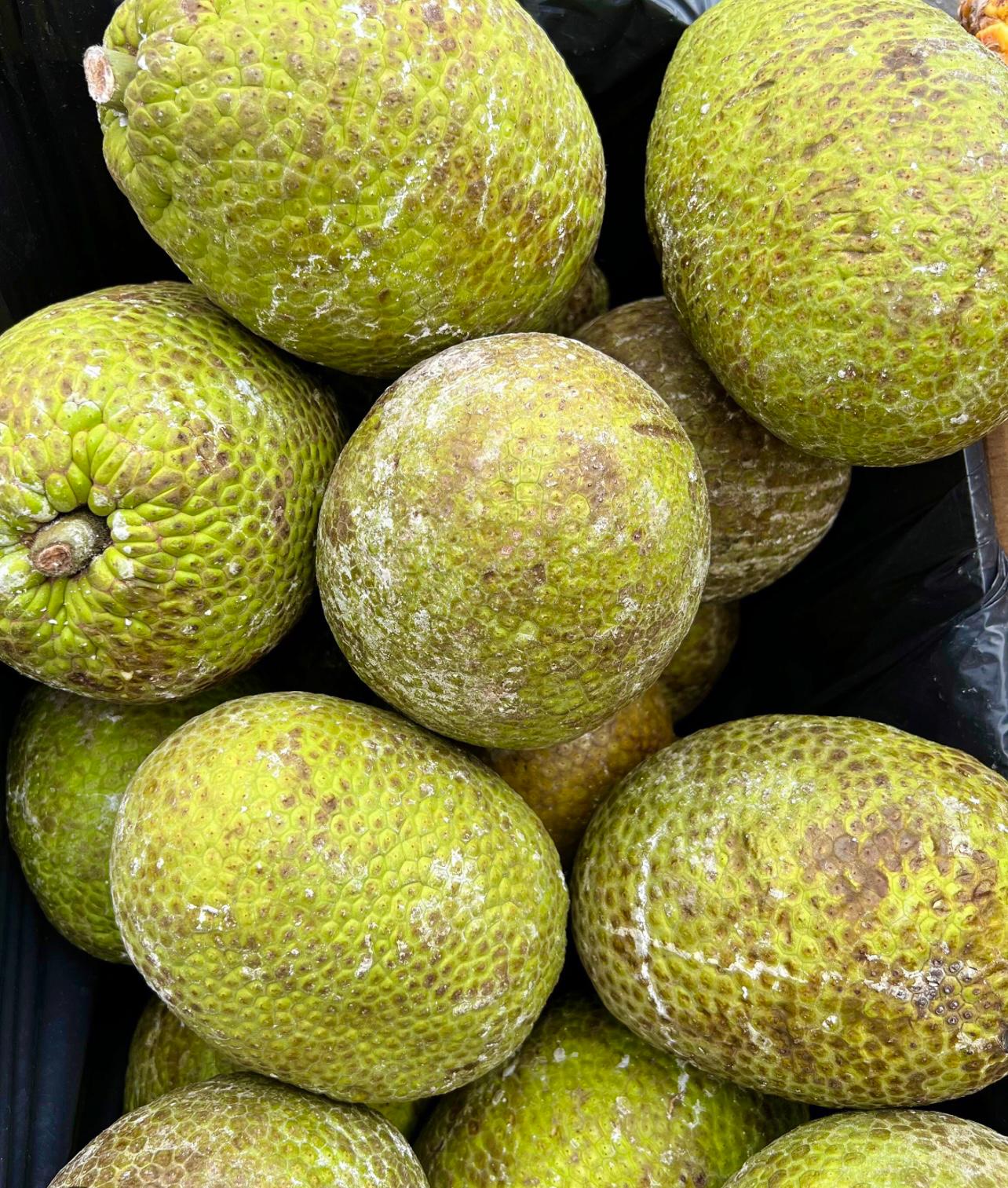 BREADFRUIT.jpg