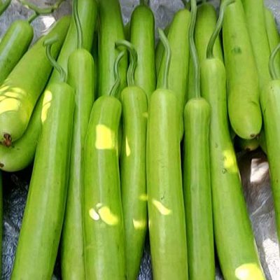 Lauki-Bottle-Gourd-Seeds-Buy-Online-2021-400x400-1.jpg