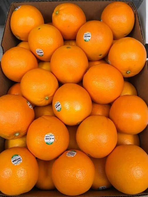 ORANGE-NAVEL.jpg