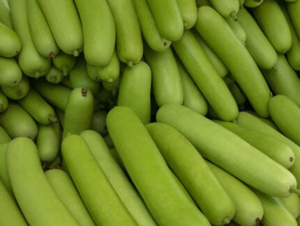 SQUASH.jpg